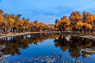 复古风格恐怖游戏“Tormented Souls”正式公布发售日期以及全新预告